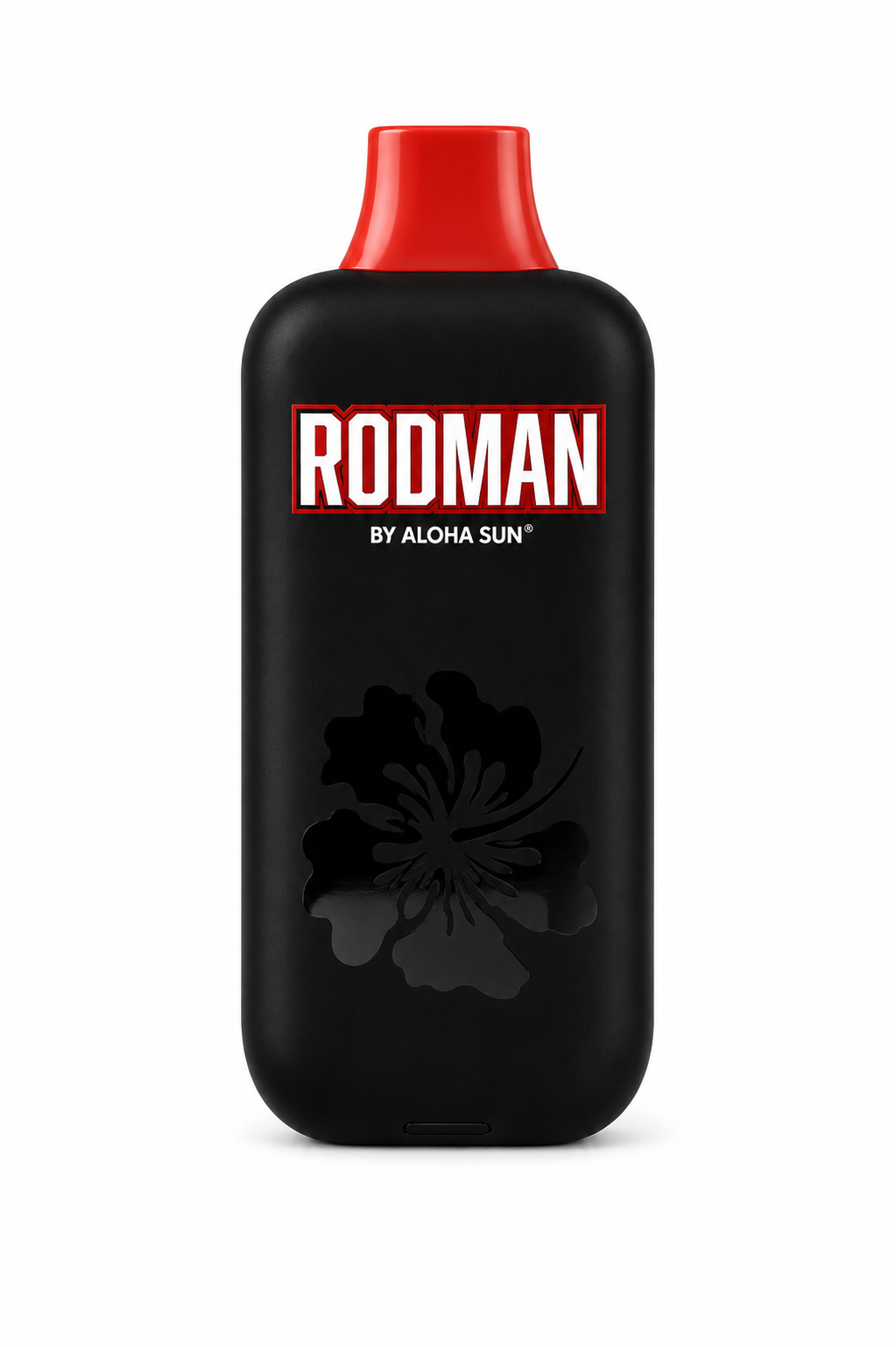 RODMAN 9,100 HITS